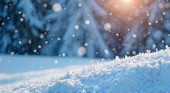 Die 5 meistgestellten Fragen (FAQ) zu Winterwurf